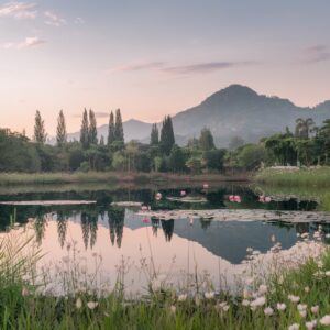 La nature